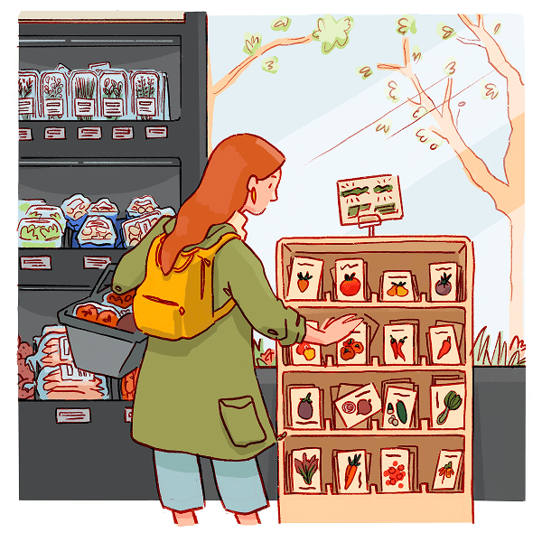 Illustration of grocery shopping