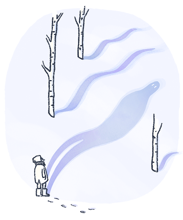 Winter Shadows